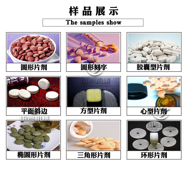 17冲不锈钢压片机图解_07.jpg